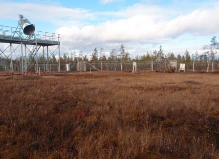 Measurement tower in wetland area